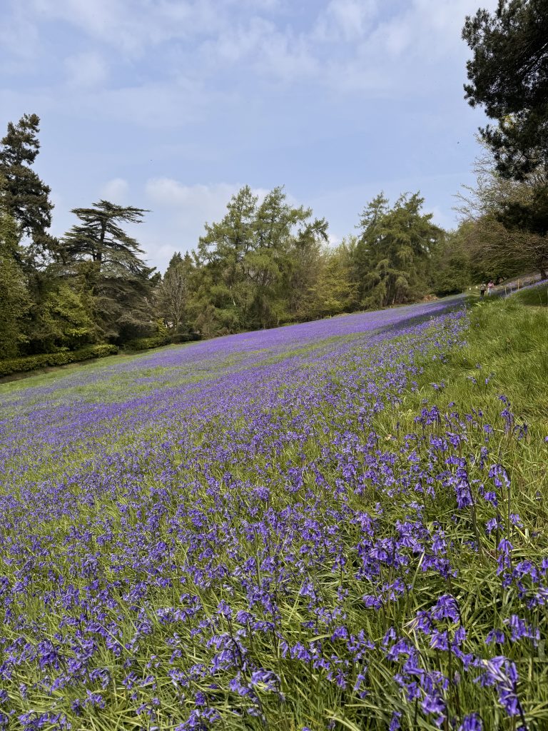 Things to do in Worcestershire in May 3 IMG 8599