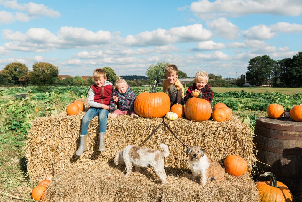5 Things to do in Worcestershire this Autumn whilst staying at Worcester Glamping 5 Bennetts Pumpkin Patch 2024 Hayley Elizabeth Photography 2
