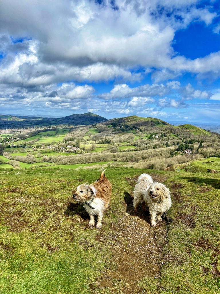 Walking on the Malvern Hills