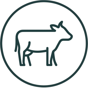 Home 1 dairy icon