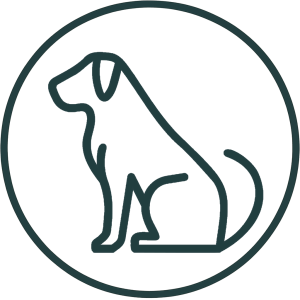 Home 3 dog icon